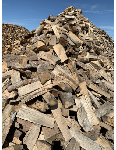 PALET DE LEÑA DE HAYA SUELTA